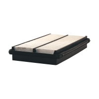FILTRON AP 102/2 (A-867, 17220PDAE01) AP1022