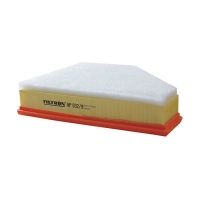 FILTRON AP 032/9 (A-BMW 13717797465) AP0329